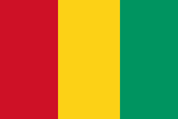 guinee-drapeau